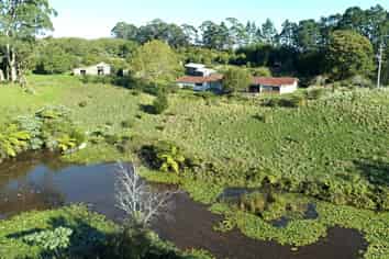 Egg operation & home