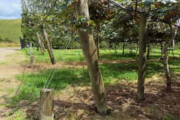 155 Mystery Valley Road, Paengaroa