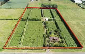 36 Eden Road, Pukekohe