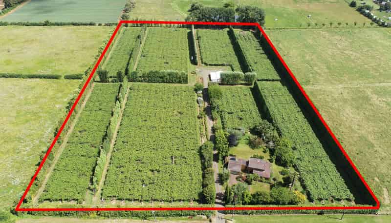 36 Eden Road, Pukekohe