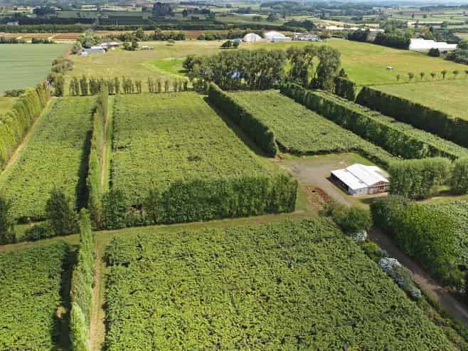 36 Eden Road, Pukekohe