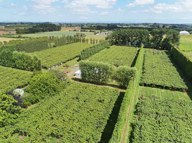 36 Eden Road, Pukekohe