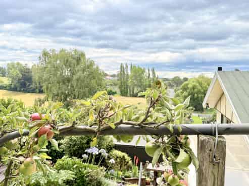 42 Jessop Street, Oamaru