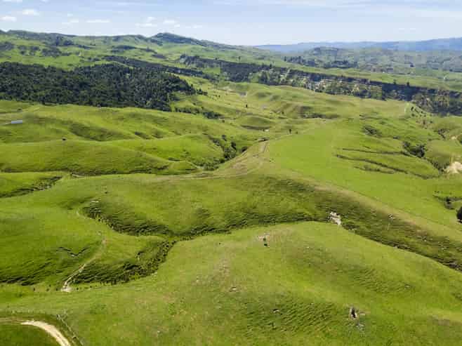  Norana Station, 696 Papuni Road, Ruakituri