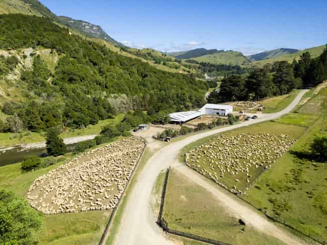  Norana Station, 696 Papuni Road, Ruakituri