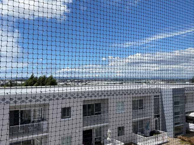 503/9B Jordan Avenue, Onehunga