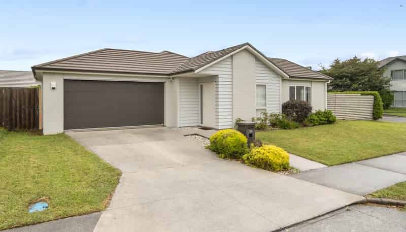 24 Hollowout Street, Takanini
