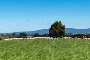 1589 Riverton Wallacetown Highway, Thornbury