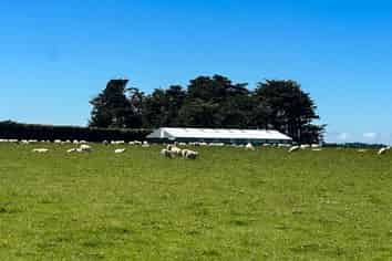 1589 Riverton Wallacetown Highway, Thornbury