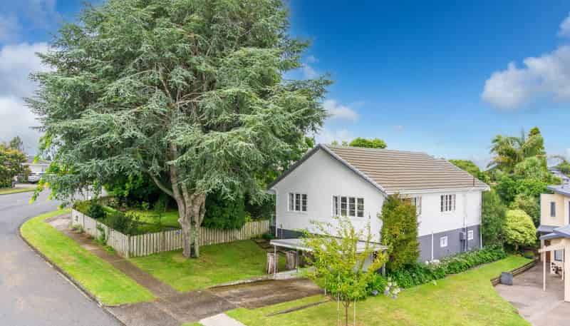 337 Wallace Terrace, Te Awamutu