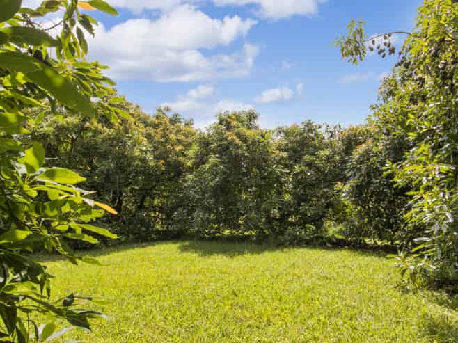 243A Wright Road, Katikati