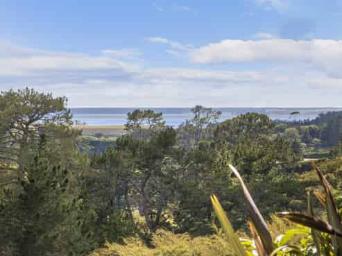 243A Wright Road, Katikati