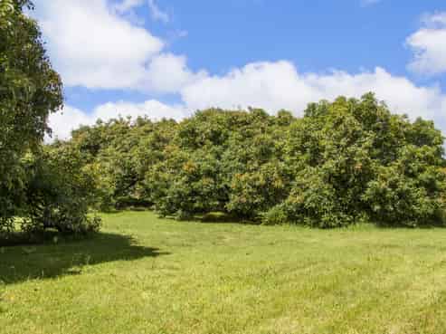 243A Wright Road, Katikati