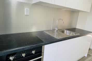 2/20A Te Aroha, Hamilton East