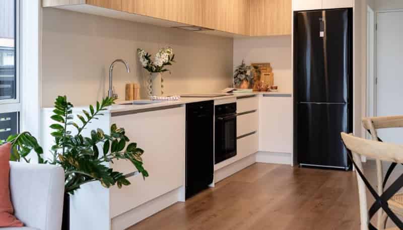 73 Selo Street, Glen Eden