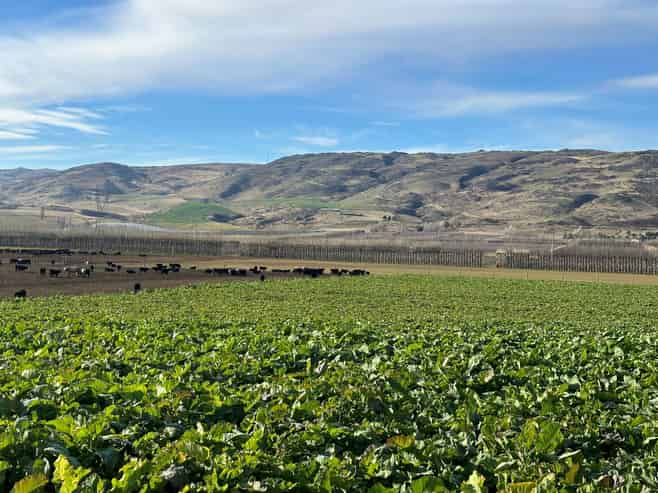  Kinaston Road, Roxburgh East, Roxburgh