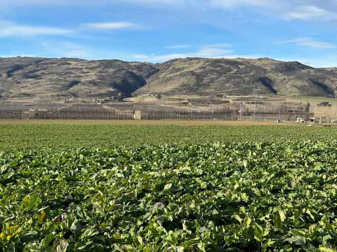  Kinaston Road, Roxburgh East, Roxburgh