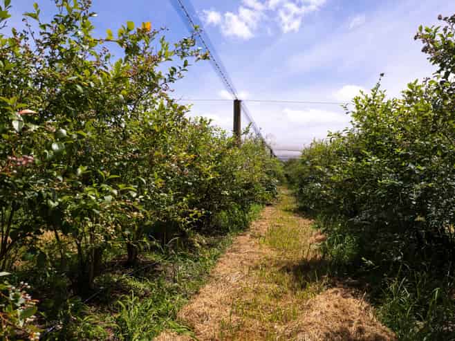  147 Stanners Road and 89 Kapiro Road, Kerikeri