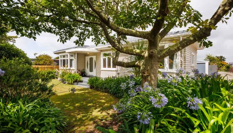 82 Derby Street, Feilding