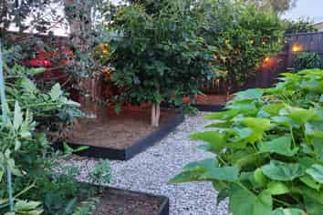 164 Tukapa Street, Westown