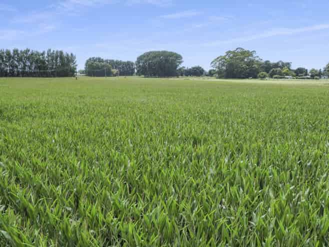 434-454 Awakeri Road, Edgecumbe