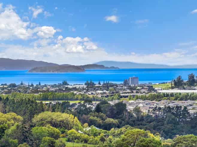 202 Kahikatea Flat Road, Dairy Flat