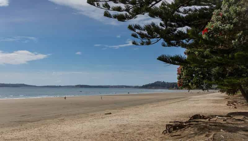 33B Florence Avenue, Orewa