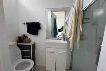 41 Brougham Street, Mount Victoria