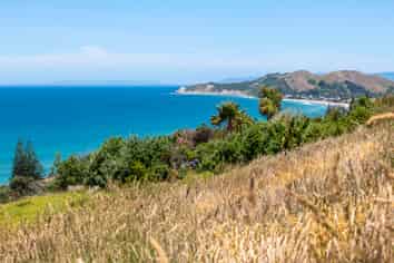 91 Winifred Street, Okitu