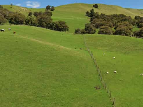 455 Anaroa Road, Raukawa