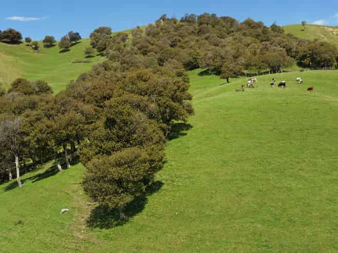 455 Anaroa Road, Raukawa