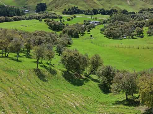455 Anaroa Road, Raukawa