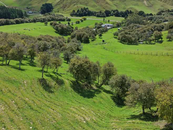 455 Anaroa Road, Raukawa