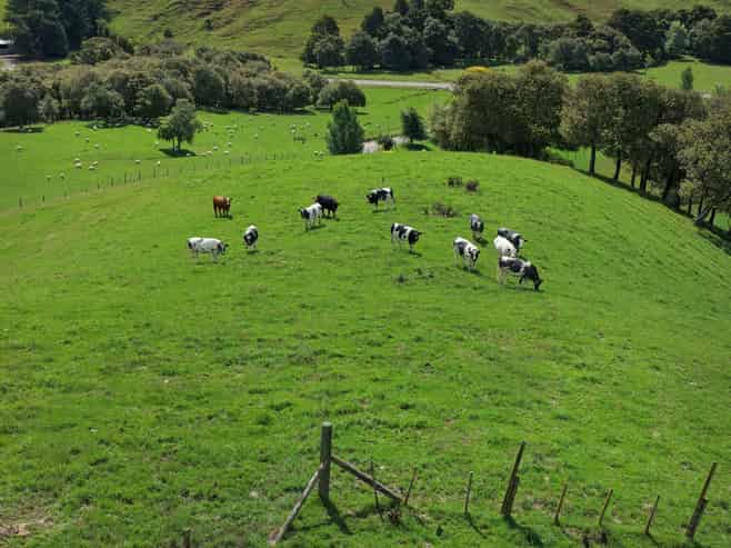 455 Anaroa Road, Raukawa