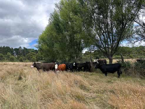 122 Putere Road, Raupunga