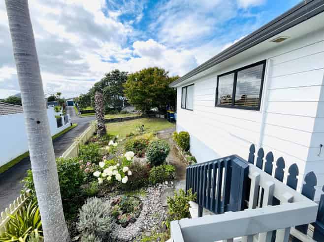 16 Hassan Drive, Massey