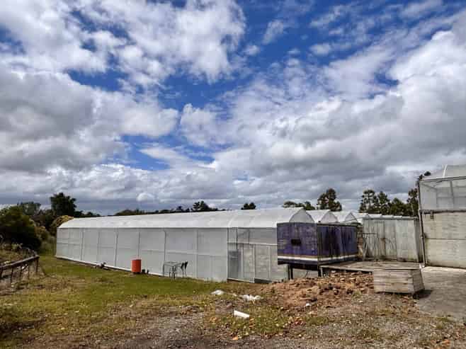 Rare greenhouse facility