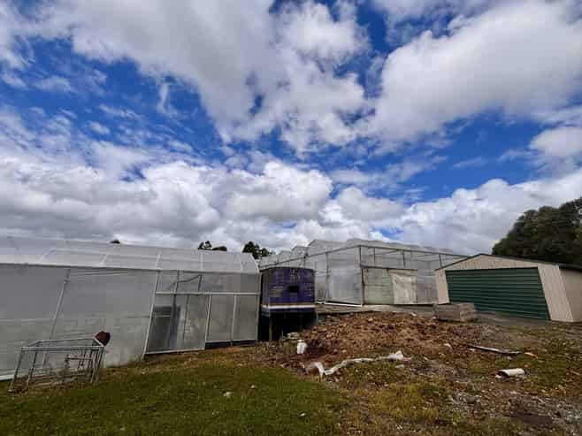 Rare greenhouse facility