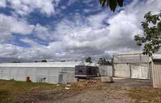 Rare greenhouse facility