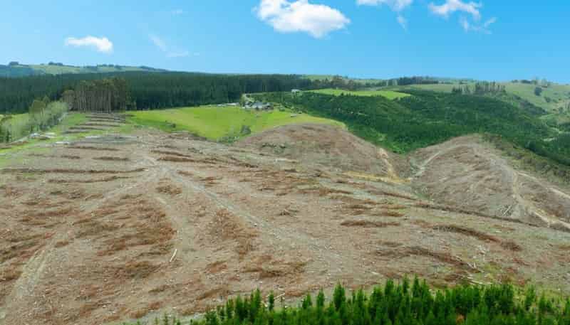  Fletcher Road, Table Hill, MILTON