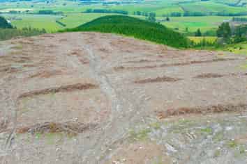  Fletcher Road, Table Hill, MILTON