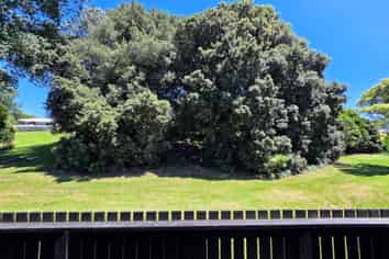 5/13 Torino Street, Panmure