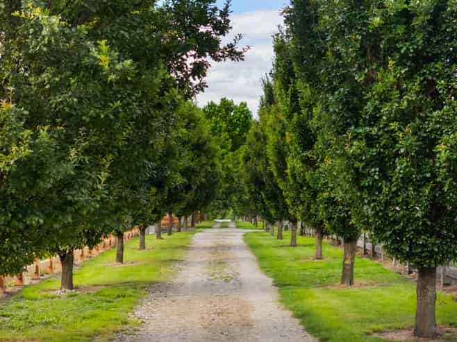 Lot 2, 53 Oak Lane, Wanaka