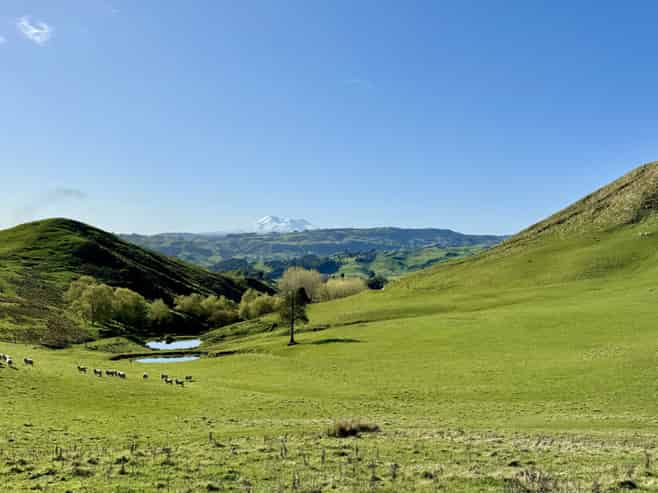 515 Ruanui Road, Taihape and Surrounds