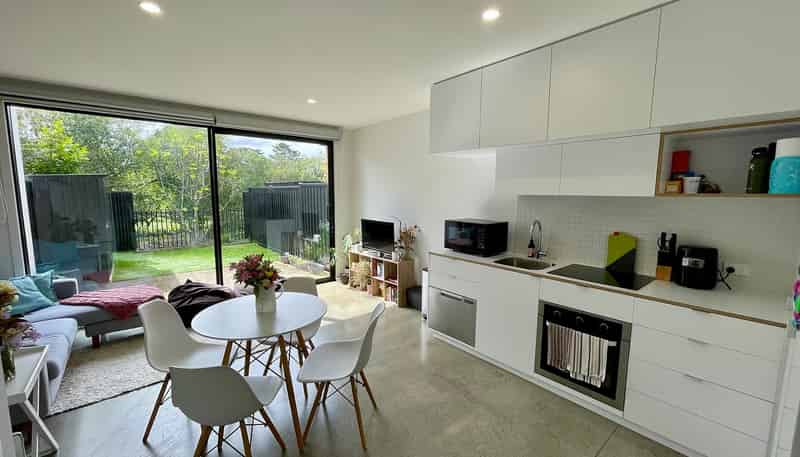 47 Te Ara O Paetutu, Petone