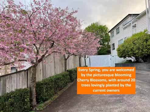 57C Point View Drive, East Tamaki Heights