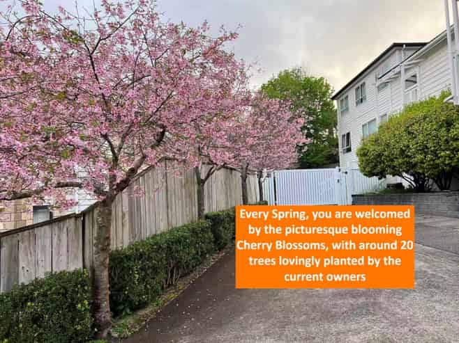 57C Point View Drive, East Tamaki Heights