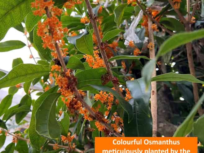 57C Point View Drive, East Tamaki Heights