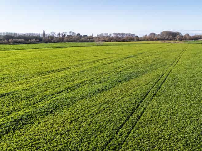  Pareora River Road, Southburn
