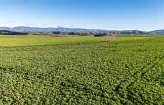  Pareora River Road, Southburn